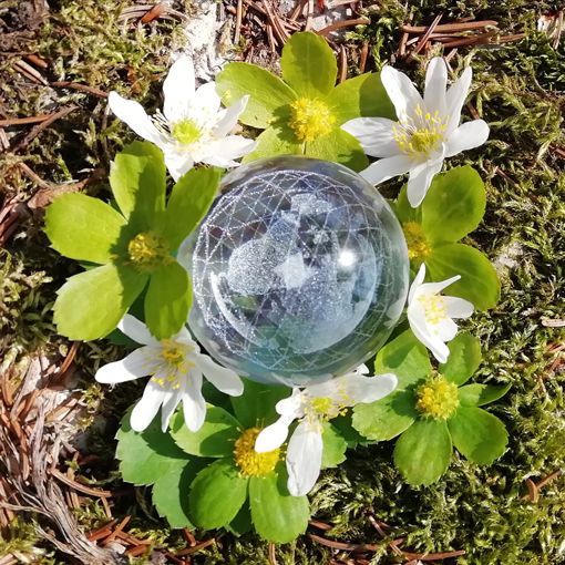 Terre diamant méta génésis médaille d'argent invention Genève cristal grille cristalline purification équilibre élévation nettoyage