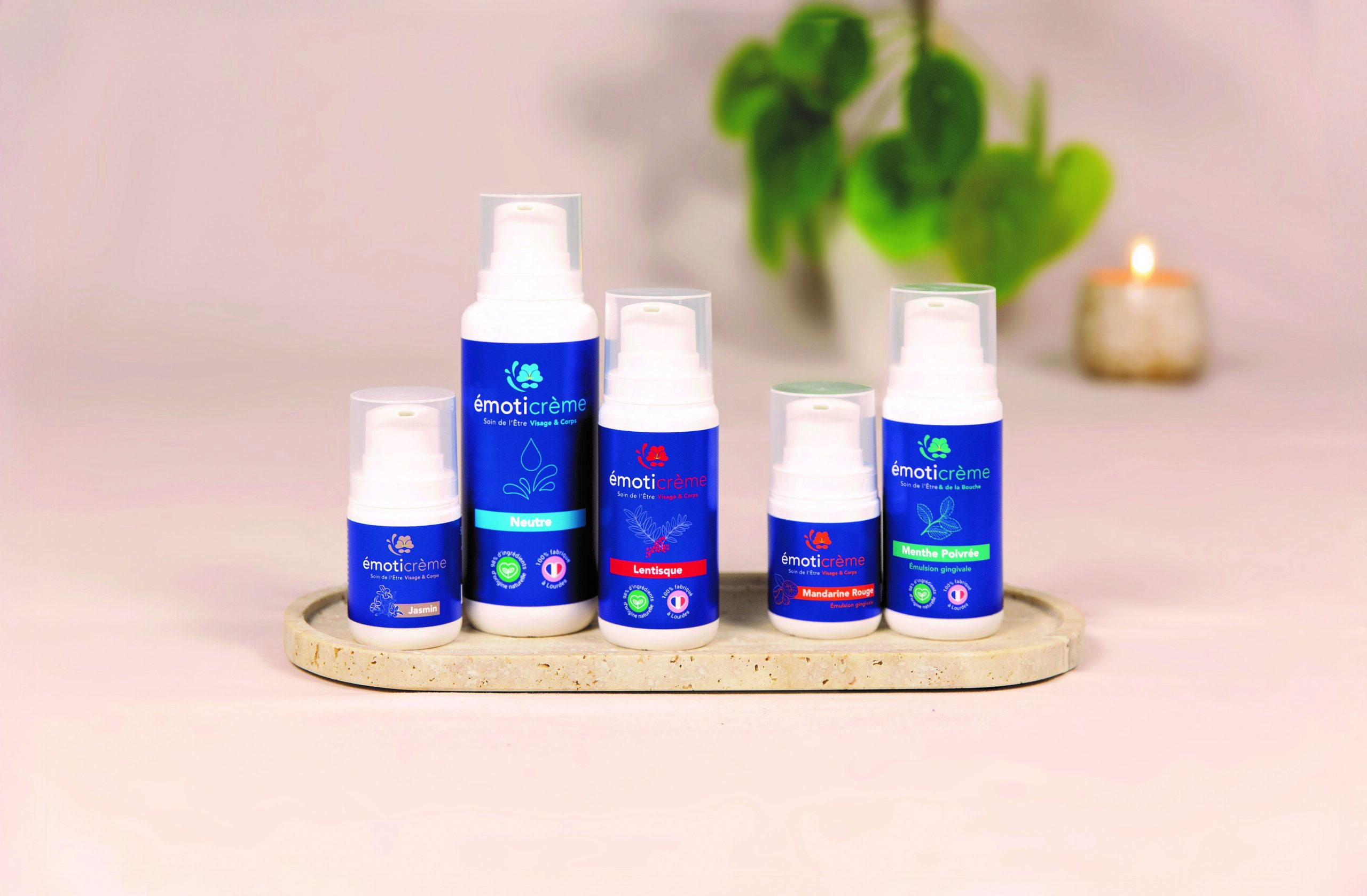 La famille du créateur de la BIAFINE (Georges Wenmaekers) se lance dans la composition d’une formule actualisée et novatrice, cela donne un nouveau concept : Les émoticrèmes. Nos produits allient santé et beauté. Participe à : Apaiser, protéger et revitaliser les gencives Rééquilibrer le microbiote buccal Réduire la plaque dentaire et la destruction de l’émail Assainir l’haleine Neutraliser l’acidité en bouche. Bio, naturel, eau de Lourdes, aromathérapie, phytothérapie, biafine, cicatrisation, rides, loudeurs jambes, rougeurs, Emulsions, émotions, dentiste, plaque dentaire, mauvaise haleine, cicatrisation, tartre